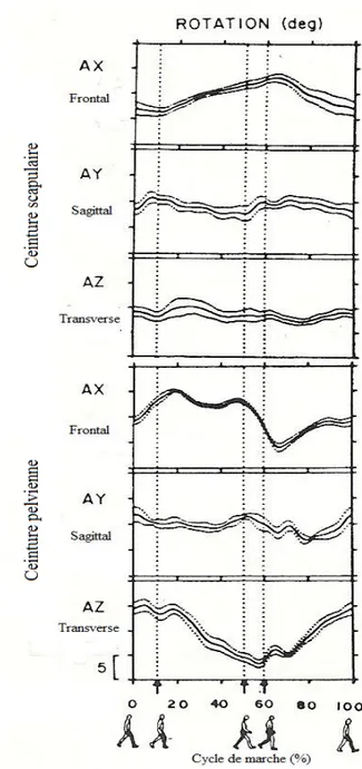 Figure 10 : Amplitude (en degrés) de la ceinture scapulaire dans les plans frontal et  transverse selon la progression d’un cycle de marche chez des personnes saines