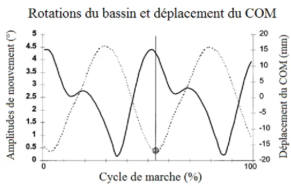 Figure 11 : Rotations (en degrés) du bassin, dans le plan transverse, et déplacement du  COM (mm) selon l’axe vertical au cours d’un cycle de marche