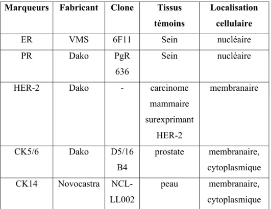 Tableau II Marqueurs utilisés en immunohistochimie pour vérifier le statut des  protéines associées au cancer du sein