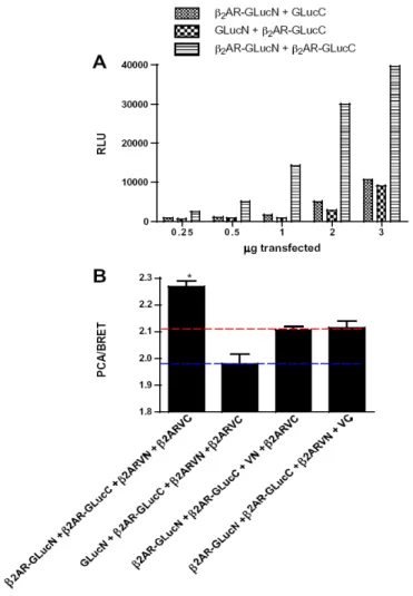 Figure 7 : BRET à 4 partenaires 