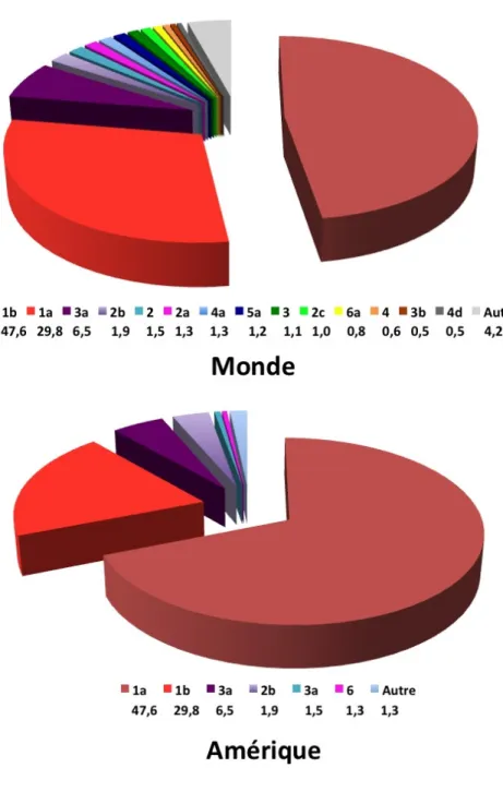 Figure 1 : Représentation de la prévalence (%) des différents génotypes du VHC dans le  monde et en Amérique du Nord 