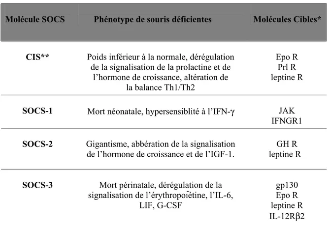 Tableau 4: Tableau récapitulatif des principaux rôles des SOCS  