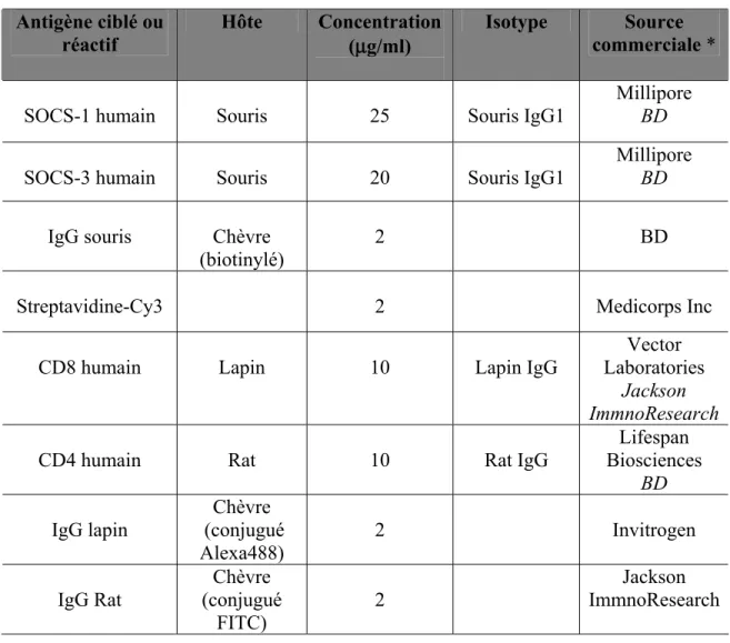 Tableau 7: Anticorps utilisés en immunocytochimie  Antigène ciblé ou  réactif  Hôte  Concentration  ( μg/ml)  Isotype  Source  commerciale * 