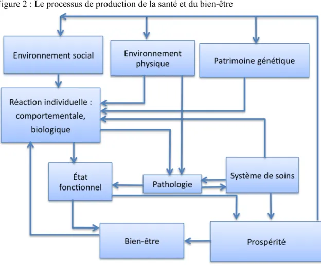 Figure 2 : Le processus de production de la santé et du bien-être 