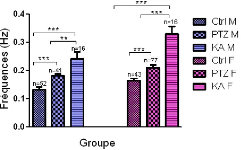 Graphique 2 : Comparaison des moyennes de fréquences de l’activité spontanée entre  sexe des trois groupes de rats
