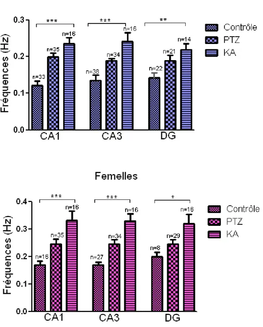 Graphique 3 : Moyenne des fréquences de l’activité spontanée chez les rats mâles et  femelles au niveau des trois aires de l’hippocampe
