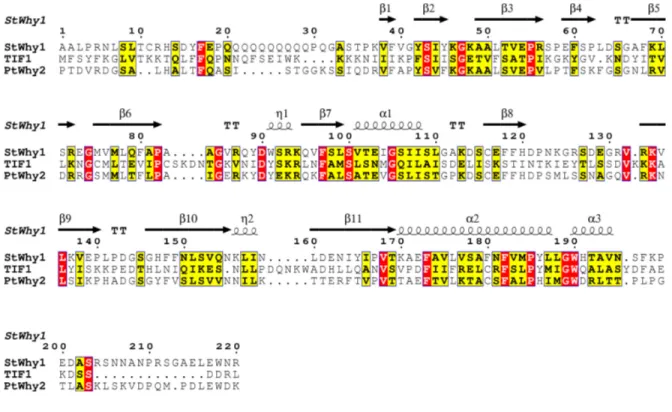 Figure 8. Conservation de séquence primaire et de structure secondaire entre les  Whirlies de plantes à fleurs et la protéine TIF1 de T