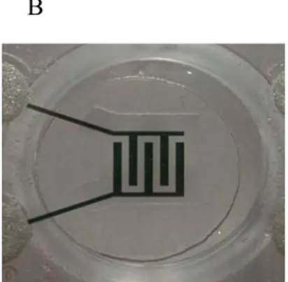 Figure 3. Appareil CellKey TM .  A. Vue globale du système CellKey TM , , B. photo d’un  puit d’une plaque 96 puits standard utilisé pour le CellKey TM  et qui montre la disposition 