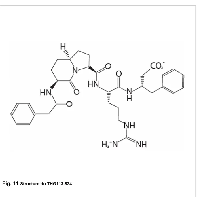 Fig. 11  Structure du THG113.824 
