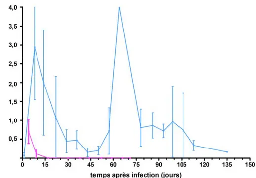 Figure 7 : Charges buccales moyennes ± écart type de C. albicans LAM-1 retrouvées chez  des souris Tg CD4C/HIV MutA  infectées jusqu’à l’apparition des points limites (pré-mortem) 
