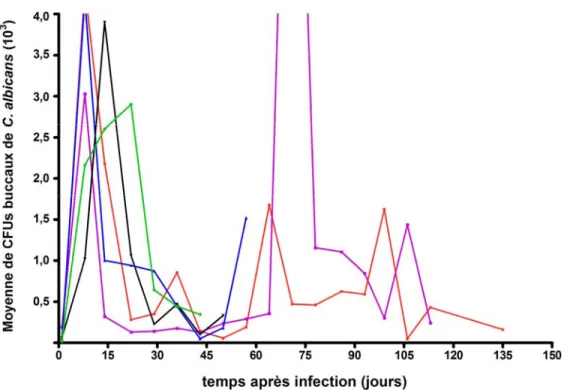 Figure 8 : Charges buccales de C. albicans LAM-1 retrouvées chez chacun des 6 sujets Tg  CD4C/HIV MutA  infectés jusqu’à l’apparition des points limites.