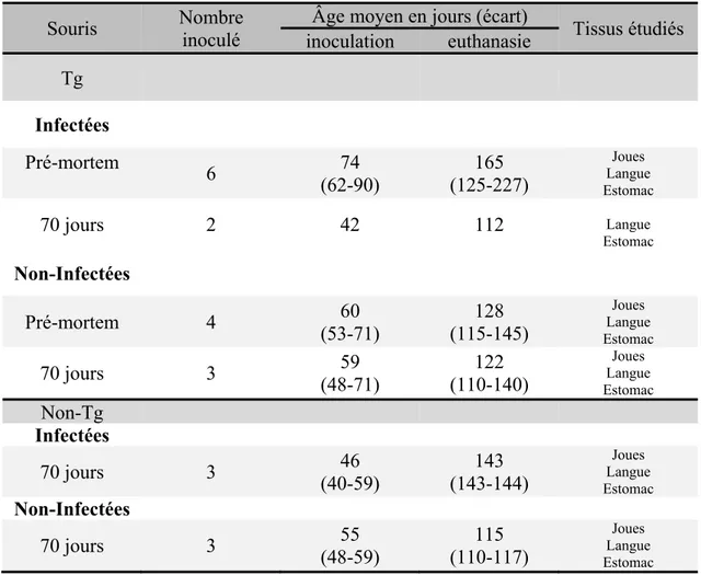 Tableau I : Description des différents groupes expérimentaux utilisés pour les études  pathologiques et d’immunohistochimie sur les tissus de souris Tg et non-Tg, infectées ou non  au C