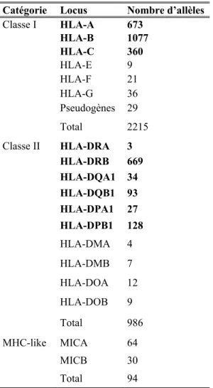 Tableau I - Nombre d’allèles HLA 