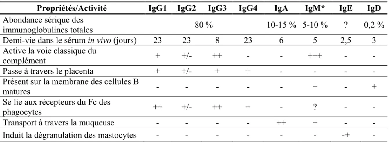 Tableau III - Propriétés des immunoglobulines humaines (Adapté de Goldsby et al., 2001 15 ) 