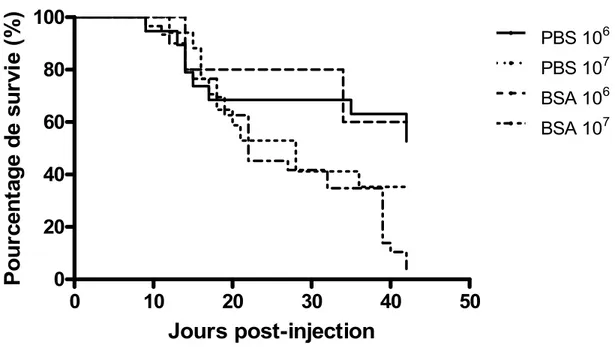 Figure 9 - Survie des souris GvHD. Pourcentage de survie des souris GvHD. PBS 10 6 , n = 19; PBS 