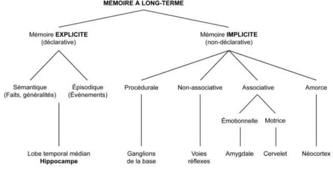 Figure 1 : Les différents systèmes mémoriels  