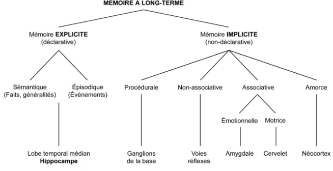 Figure 1 : Les différents systèmes mémoriels  