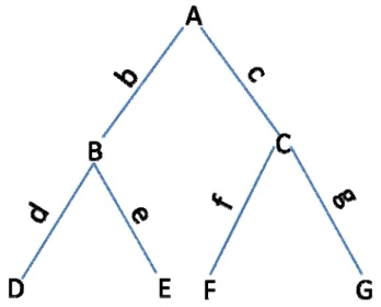 Figure 2.  A bifurcating rooted phylogenetic tree.  