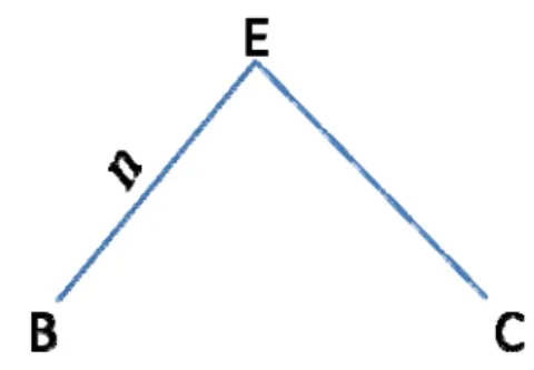 Figure 5. An illustration for a site: n substitutions occurring from species E to species B