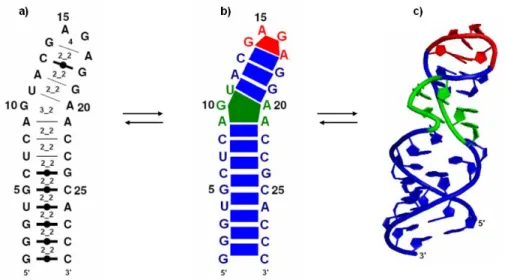 Figure 1.14 : Structure secondaire de la boucle E prédite par MC-Fold.  La séquence de la 