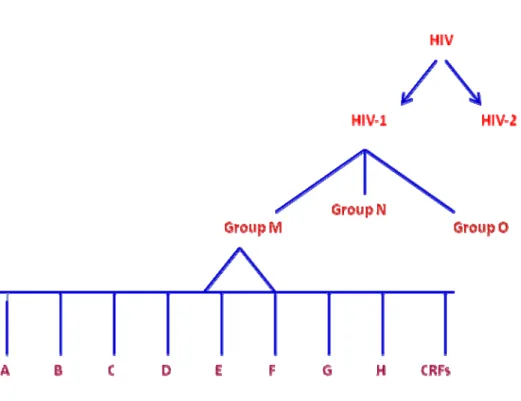 Figure 1  Sous-Types ou Clades du VIH 