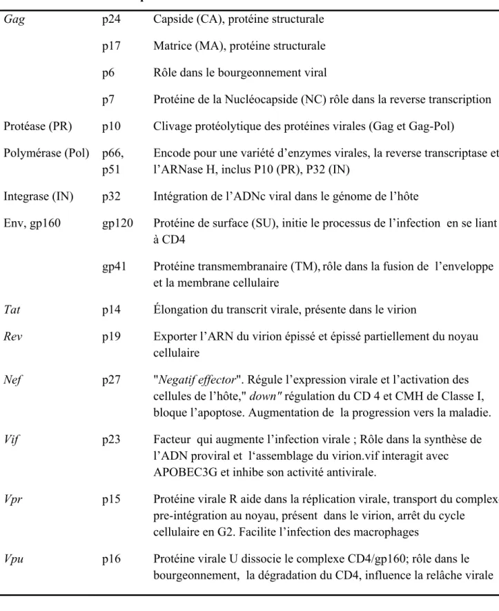 Tableau 1. Les protéines du VIH et leurs fonctions 