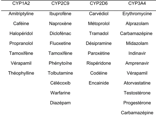 Tableau IV : Substrats des principaux isoenzymes du CYP450 