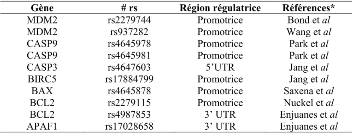 Tableau I. Polymorphismes des régions régulatrices des gènes d’apoptose associés  à diverses maladies dans la littérature