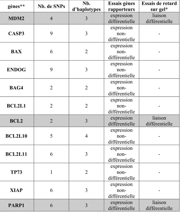 Tableau III. Résumé des résultats obtenus pour les promoteurs des 12 gènes  étudiés de la voie intrinsèque de l’apoptose