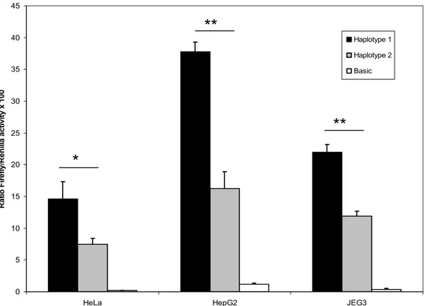 Figure 7. Impact fonctionnel des haplotypes du promoteur P1 de MDM2 sur  l’activité promotrice