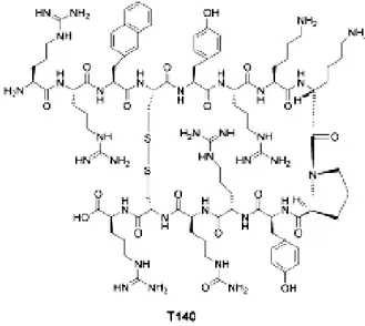Figure 2.5 : Structure moléculaire du T140. Tiré de Liang &amp; al. [65].  