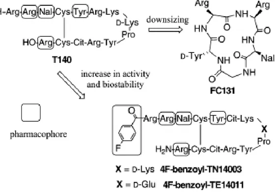 Figure 2.7 : Développement de dérivés du T140. Représentation des dérivés  4F-benzoyl-TN14003, 4F-benzoyl-TE14011 et FC131