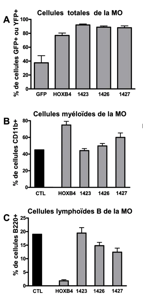 Figure 5  GFP HOXB4 1423 1426 1427020406080100Cellules  totales de la MO % de cellules GFP+ ouYFP+ 0 20406080% de cellules CD11b+ CTL HOXB4 1423 1426 1427 05 10152025% de cellules B220+ CTL HOXB4 1423 1426 1427ABC Cellules myéloïdes de la MO Cellules lymphoïdes B de la MO n=3GFPHOXB4142314261427020406080100Cellules  totales de la MO% de cellules GFP+ ouYFP+020406080% de cellules CD11b+CTLHOXB4 142314261427CTLHOXB4 1423142614270510152025% de cellules B220+CTLHOXB4 142314261427ABCCellules myéloïdes de la MOCellules lymphoïdes B de la MOn=3