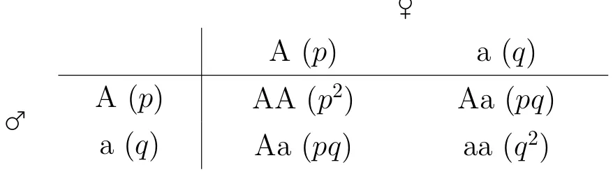 Tab. 1.1 – Carr´e de Punnett pour l’´equilibre de Hardy-Weinberg ♀ A (p) a (q) ♂ A (p) AA (p 2 ) Aa (pq) a (q) Aa (pq) aa (q 2 )