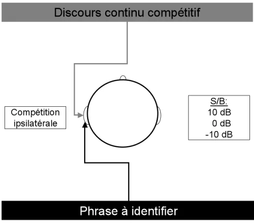 Figure  2 :  Schématisation  imagée  du  « Synthetic-Sentence  Identification  in  Ipsilateral 