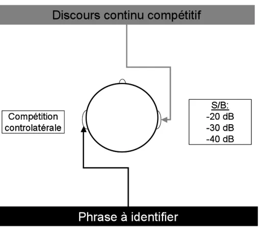 Figure  3 :  Schématisation  imagée  du  « Synthetic-Sentence  Identification  in  Controlateral 