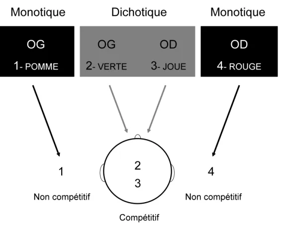 Figure  4 :  Schématisation  imagée  du  « Staggered  Spondaic  Word ».  Dans  cette  épreuve, 