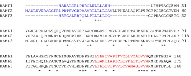 Figure 9. Alignement de séquences de RAMP1, RAMP2 et RAMP3 humain.  