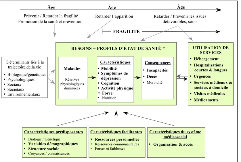 Figure 3.1  Cadre conceptuel de la fragilité et de l’utilisation des services 
