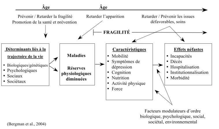 Figure 3.2  Modèle provisoire de la fragilité de l’ICFV 