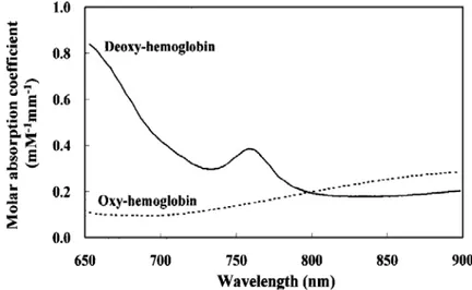 Figure 2-7: Molar absorption coefficients of oxy- and deoxy-hemoglobin  in near-infrared region measured by Yamashita et al