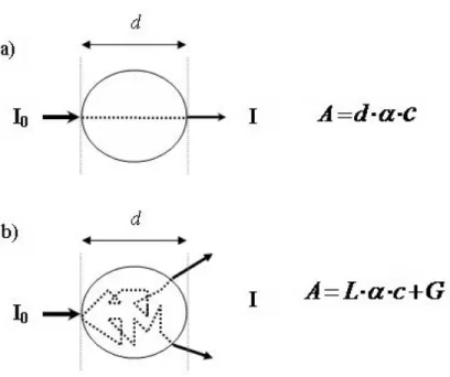 Figure 2-8: Light pathlength in a non scattering (a) and a scattering (b) medium. 