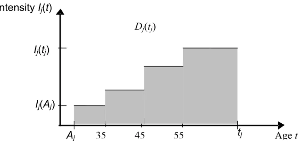 Figure 2 : Exposure pattern of a hypothetical subject j diagnosed or selected at age t j , with an 