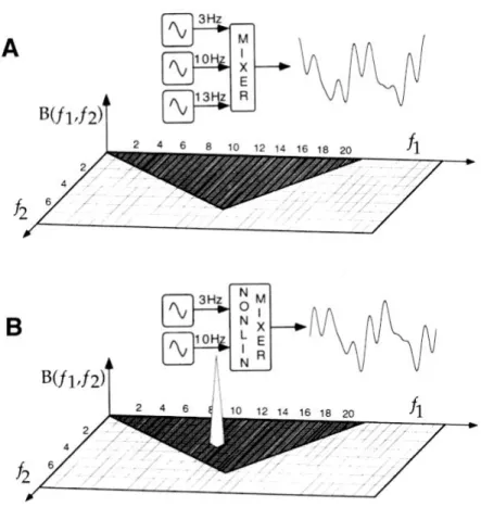 Figure 8 : Exemple de bispectre. A : bispectre nul car le signal produit par un système linéaire  ne présente pas de corrélation de phase