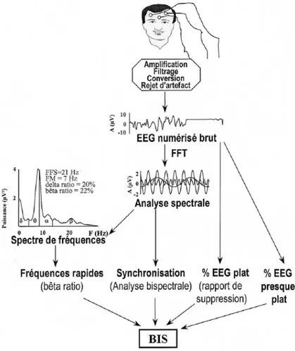Figure 9: Cheminent des différents traitements de signaux implémentés dans la technologie du  moniteur BIS (2) 