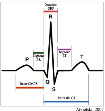 Figure 1.2: Représentation schématique d’un rythme sinusal d’un cœur humain tel que vu  sur un électrocardiogramme