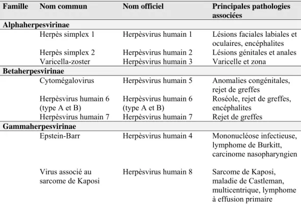 Tableau 1 Sous-familles d’herpèsvirus humains et les principales pathologies  associées