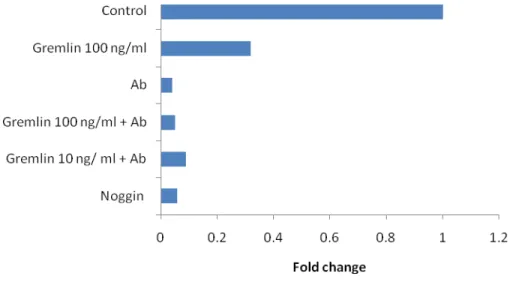FIGURE 15   VALIDATION OF THE MICROARRAY RESULTS BY RT‐PCR  (A) Validation of inhibition of Id1 by gremlin through qPCR     (B) Validation of inhibition of Id3 by gremlin through qPCR     (A), (B) Effect  of gremlin on Id1 and Id3 expression in OA chondrocytes (n=1), expressed in fold change. Cells  were  treated  with  gremlin  10  ng/ml  and  100  ng/ml,  the  (Ab)  neutralizing  antibody  BMP2/4  (25  U/ml)  and  noggin 100 ng/ml, according to the procedure in the materials and methods section. Fold change calculated in  respect to the unstimulated cells which has been given a value = 1. 