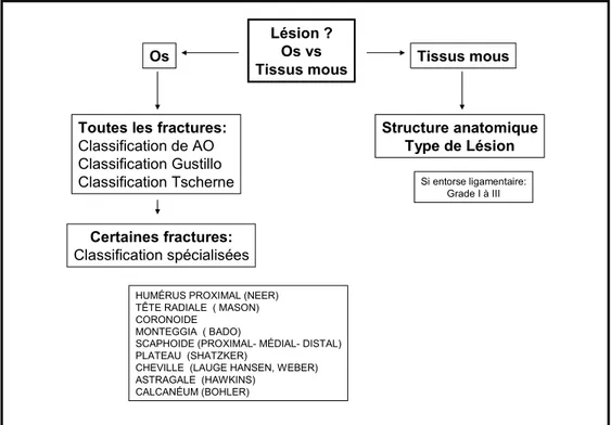 Figure 1 : Méthode de classification des mono-traumatismes 