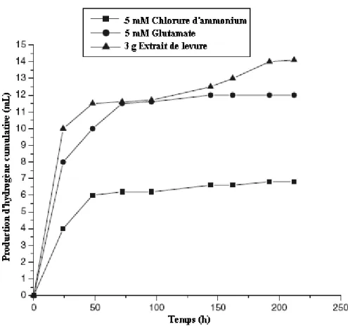 Figure III. Effet de la source d’azote d’un milieu de croissance sur la production 